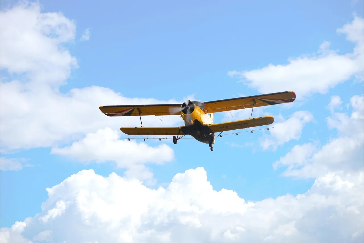 flying, spraying, mosquito control, flight. Pest control companies: a study list with one question for each