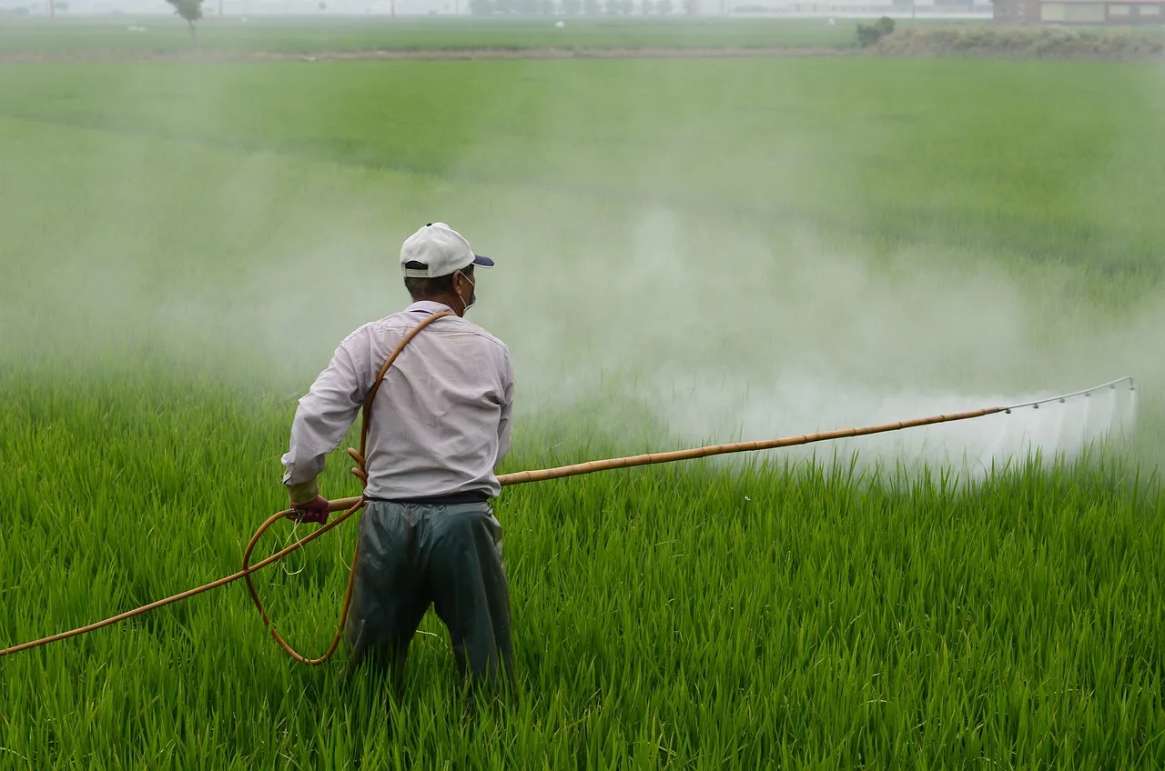 herbicide, farmer, in rice field, pesticide, poison, farmer, farmer, pesticide, pesticide, pesticide, pesticide, pesticide. DOT rules for transporting pesticides in Texas and Florida compared