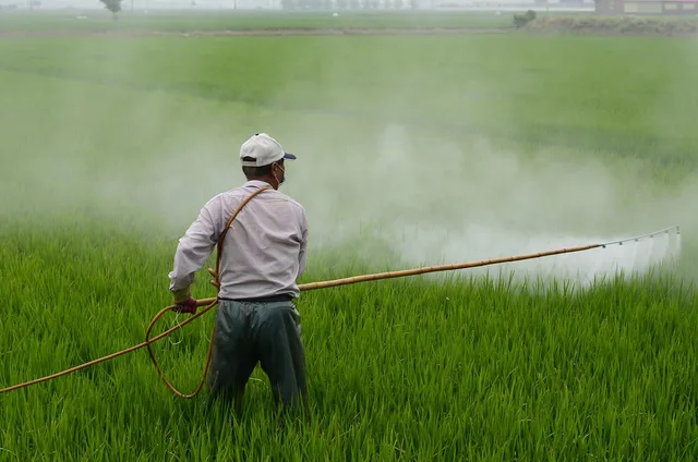 herbicide, farmer, in rice field, pesticide, poison, farmer, farmer, pesticide, pesticide, pesticide, pesticide, pesticide. DOT rules for transporting pesticides in Texas and Florida compared