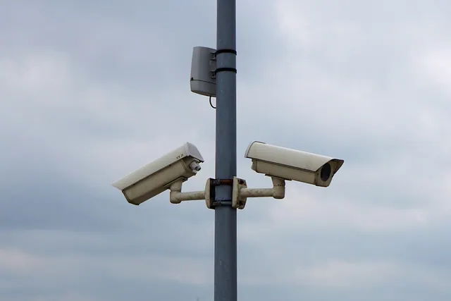 camera, monitoring, video, surveillance camera, police, security, security service, control, personal protection, state security, video surveillance, nsa, scan, check, surveillance. Measuring service quality in a pest control business