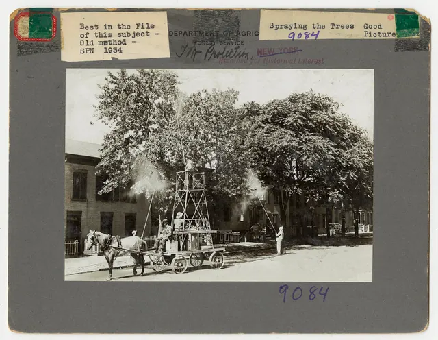 Spraying street trees for insect control. New York. Photo by: Unknown Date: 1934 Credit: National Archives and Records Administration RG# 95-GP. Records of the Forest Service. Gene. Pest Control Employee Pay in Canada: Provincial Minimums and Commission