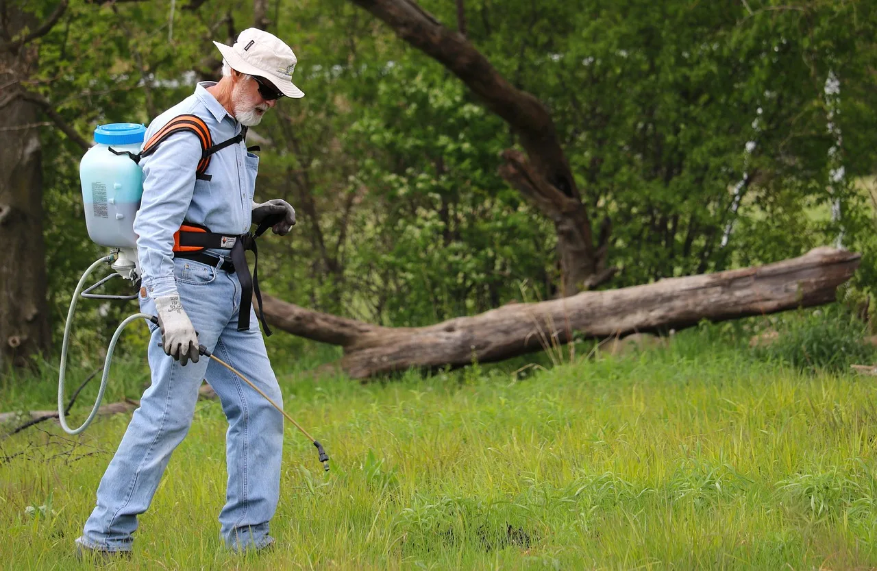 grass, backpack sprayer, maintenance, worker, man, lawn, turf, field, meadow, park, nature, backpack sprayer, backpack sprayer, backpack sprayer, backpack sprayer, backpack sprayer. Setting up a pest control business: the equipment checklist