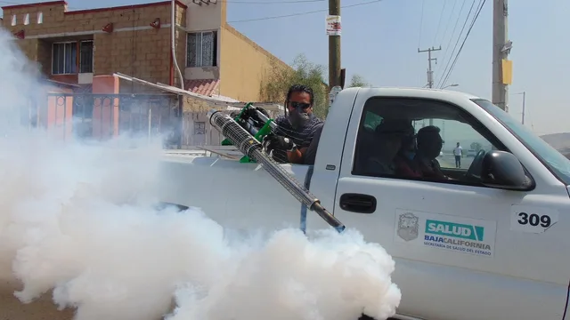 fumigation, street, pesticide, insect, insecticide, mosquito, pest, control, prevention, protection, termite, text, health, sign, bengal, kolkata, curb, municipal, patients, dengue, equipment, fever, fumigate, spray, calcutta, west, chemical, road, india, way, corporation, breeding, annihilation, bed, bed bugs, bug, carrier, baja california, mexico, tijuana, dangerous, repellent, flea, exterminator, parasite, contamination, hygienic, protective, rodent. What pest control insurance costs, and what it covers