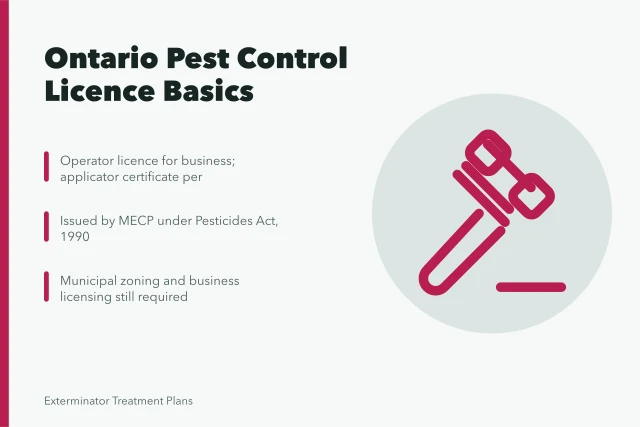 beetle, insect, bug, flower background, agricultural pest, biodiversity, ecology, nature, integrated pest management, invertebrate, natural pest control, pest control, beautiful fl. Pest Control Licence Requirements Ontario for New Businesses
